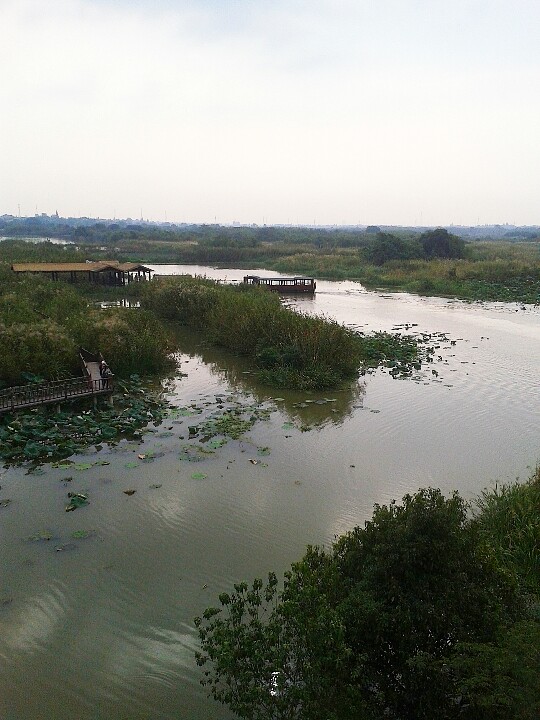 2019德清下渚湖溼地公園_旅遊攻略_門票_地址_遊記點評,德清旅遊景點