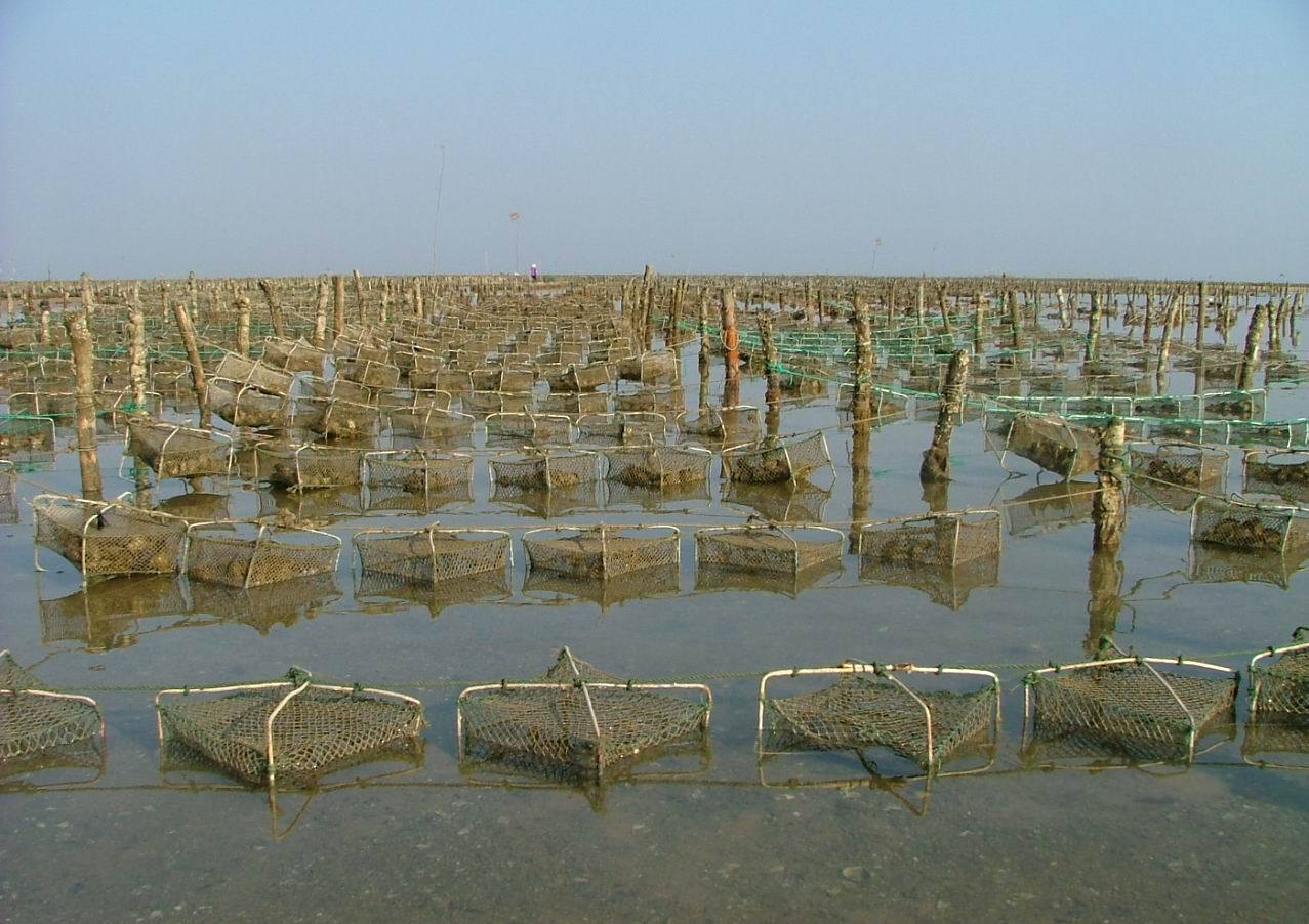 北海养殖场出租