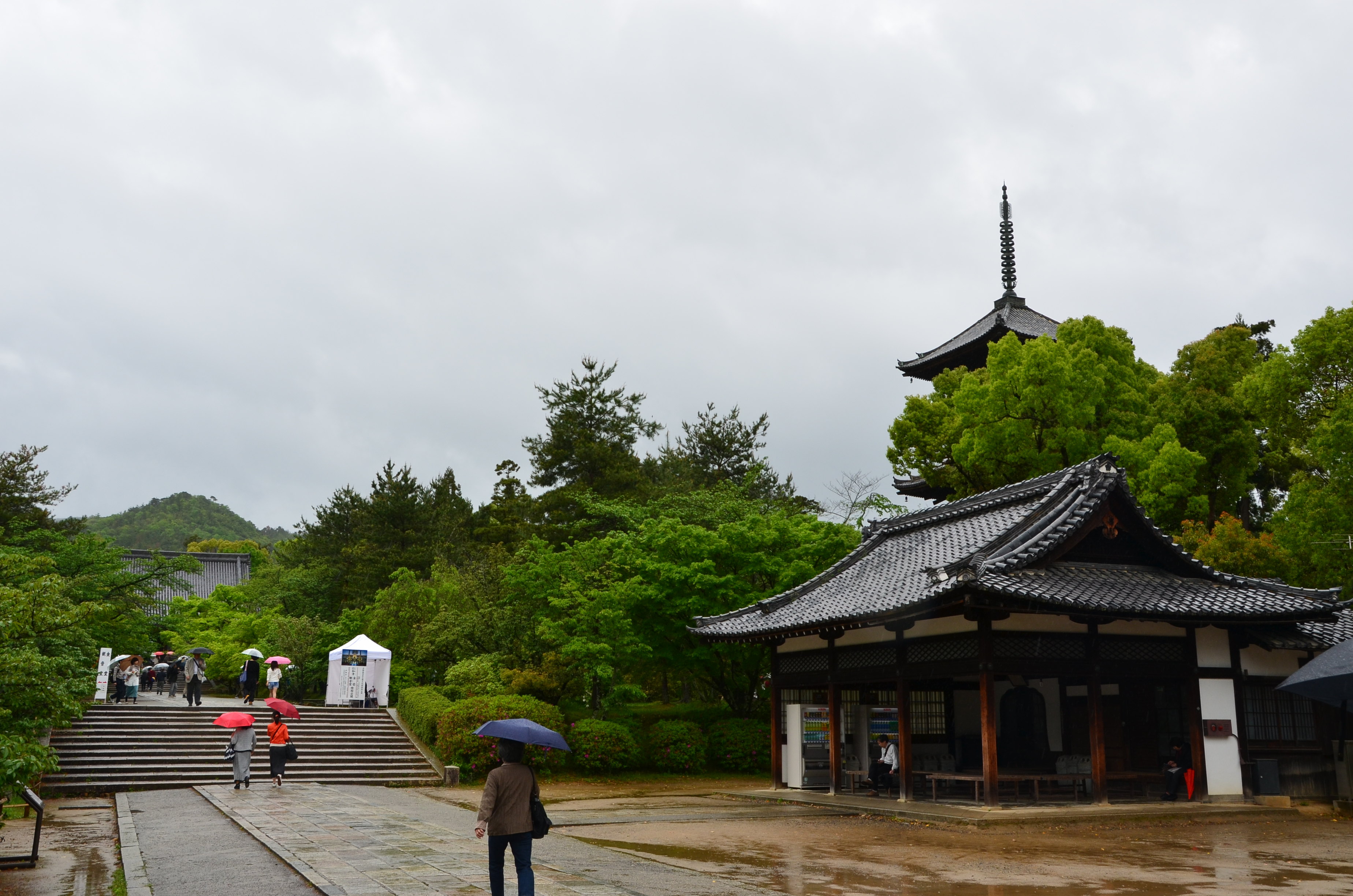 【携程攻略】京都仁和寺景点,仁和寺是世界遗产之一,是一个很漂亮的