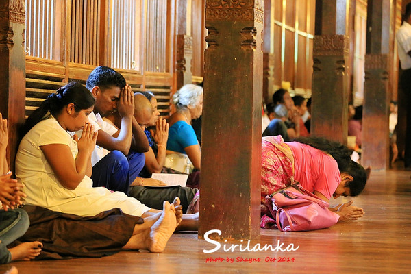 【加游站】#印度洋的眼泪#Queen's Hotel,最美