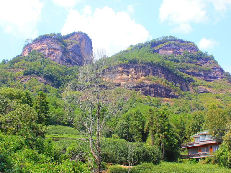武夷幔亭峰