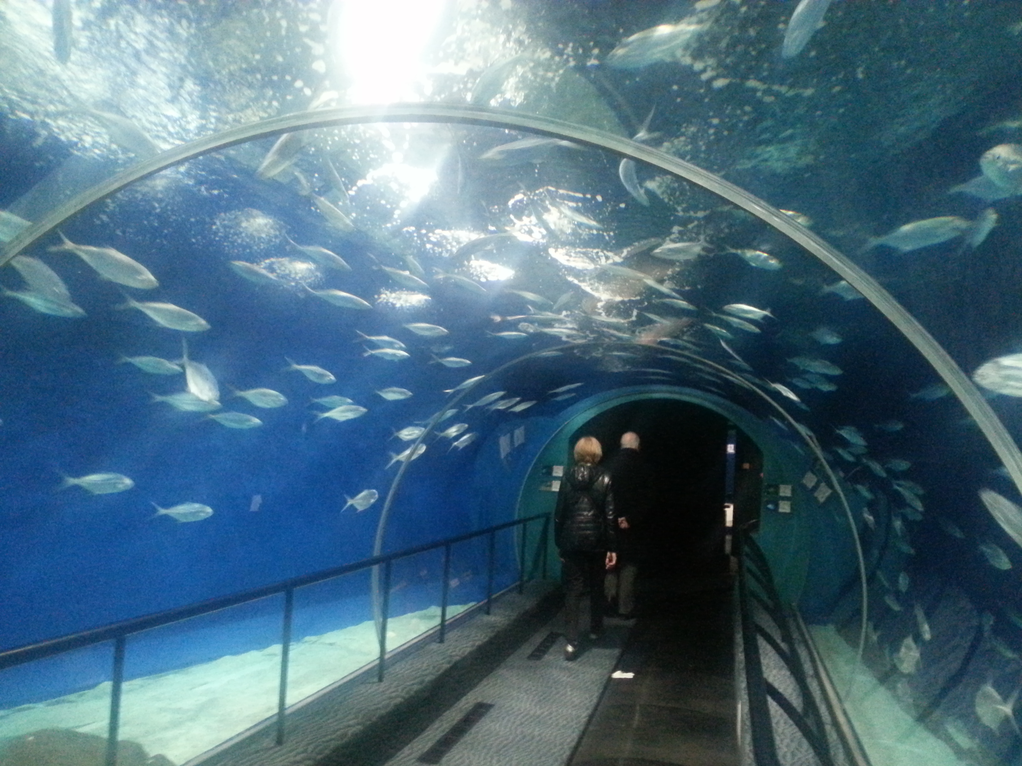  上海海洋水族館