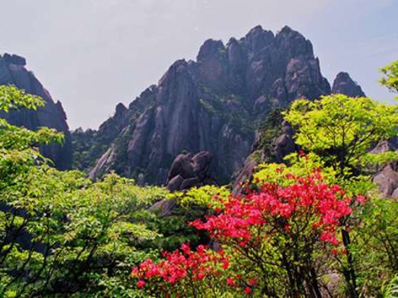 黄山风景区桃花峰攻略-桃花峰门票价格多少钱-团购票价预定优惠-景点