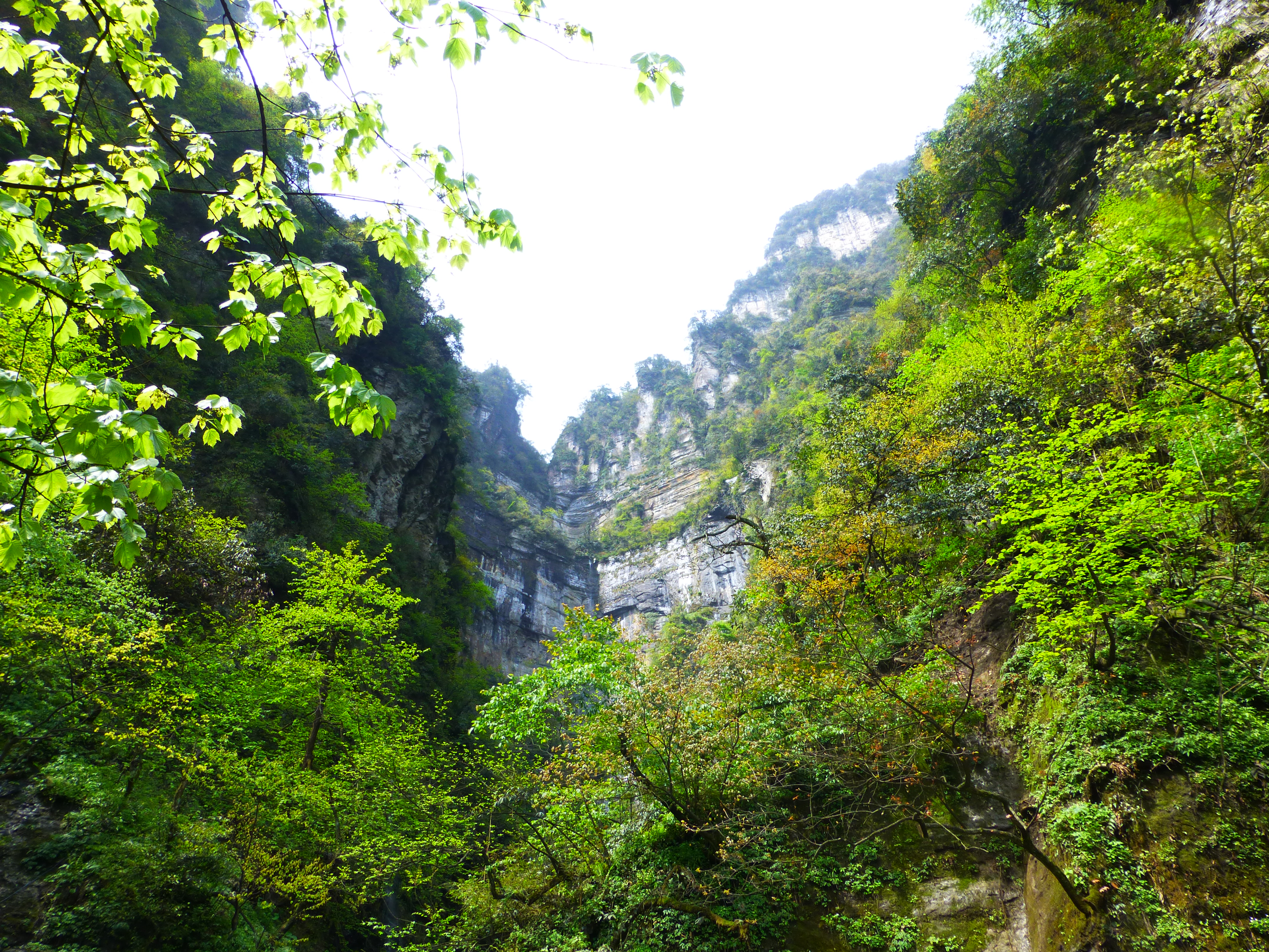 【行程大師賽】四川之旅——成都,黃龍溪,峨眉山,樂山大佛