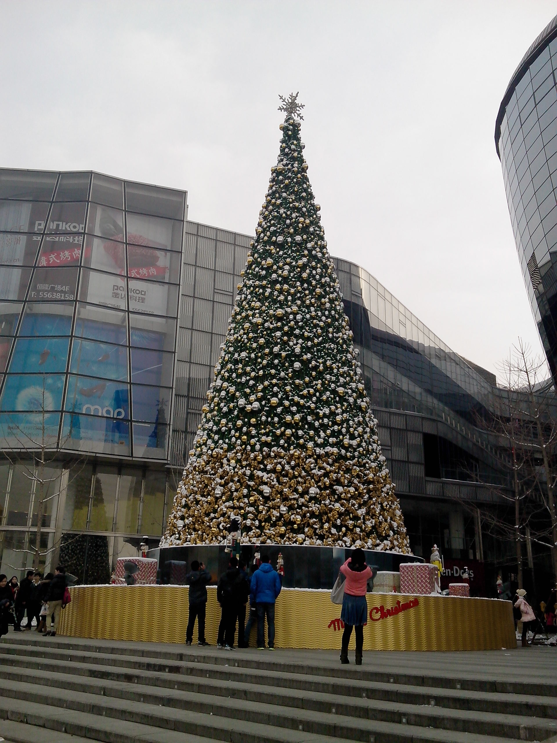           恒隆门口巨大的圣诞树