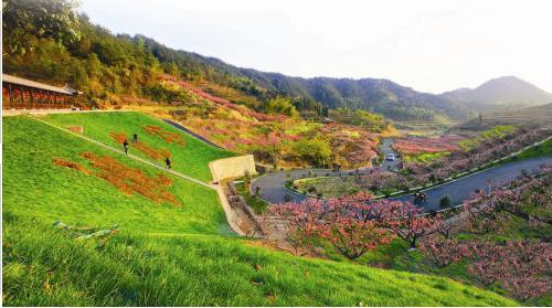 赏花游·桐庐2日1晚跟团游·深澳古村 阳山畈村 荻浦 一指峡谷