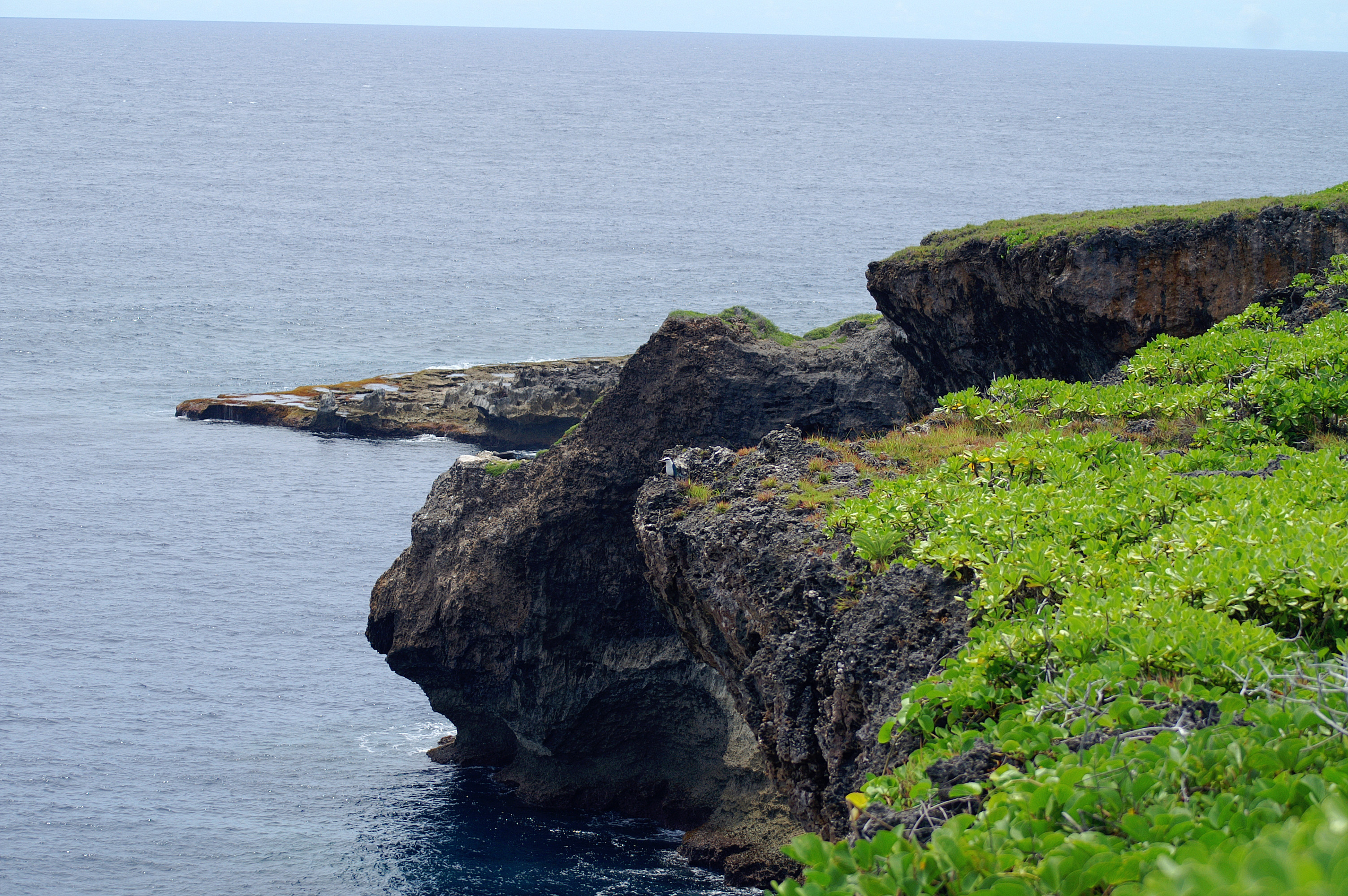 2019万岁崖_旅游攻略_门票_地址_游记点评,塞班岛旅游景点推荐 - 去