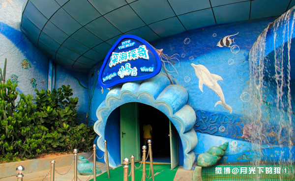 电梯下行就是深海探奇(ps:馆内很小的,不过里面有《深海探奇》环形