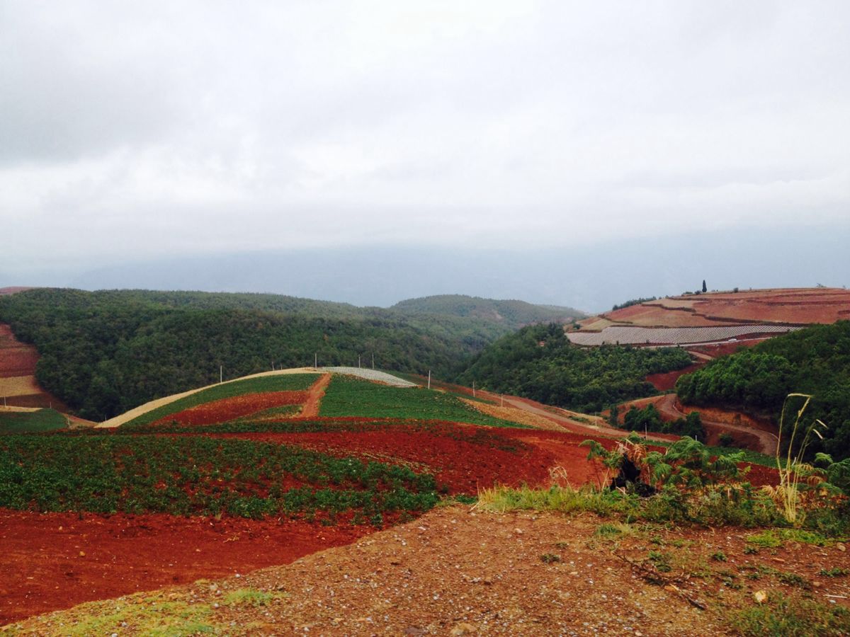 東川紅土地旅遊景點攻略圖