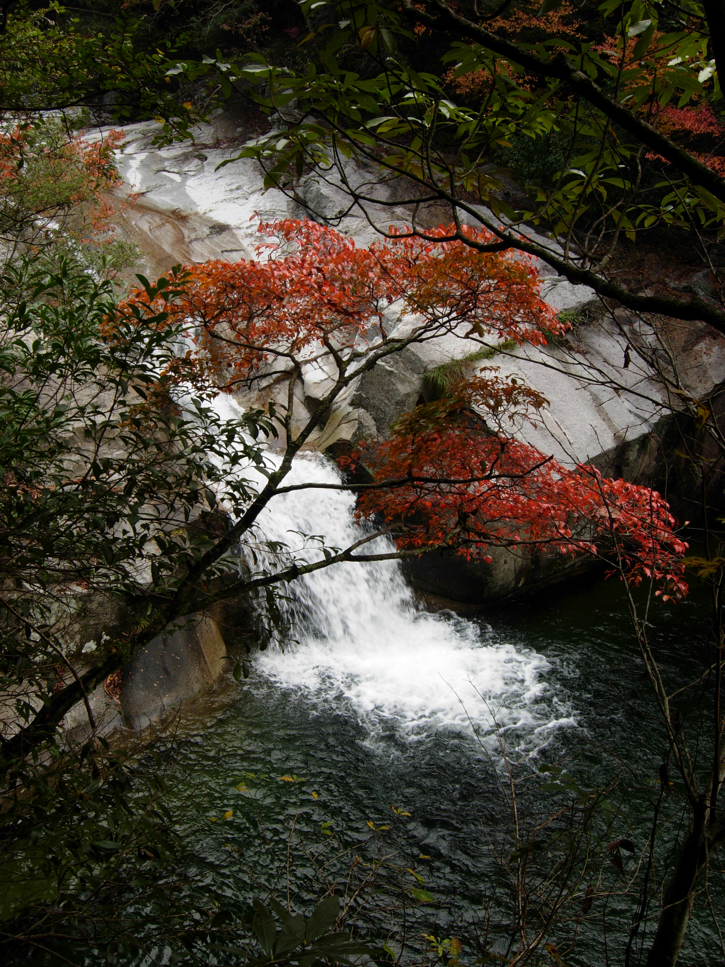 【携程攻略】婺源大鄣山卧龙谷景点,峡谷,瀑布,小溪,再加上秋天的色彩