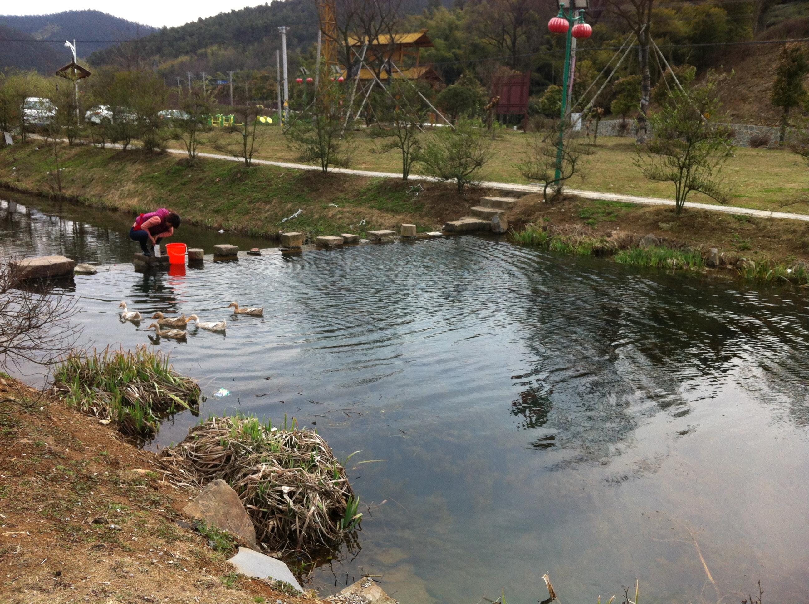 南京石塘竹海