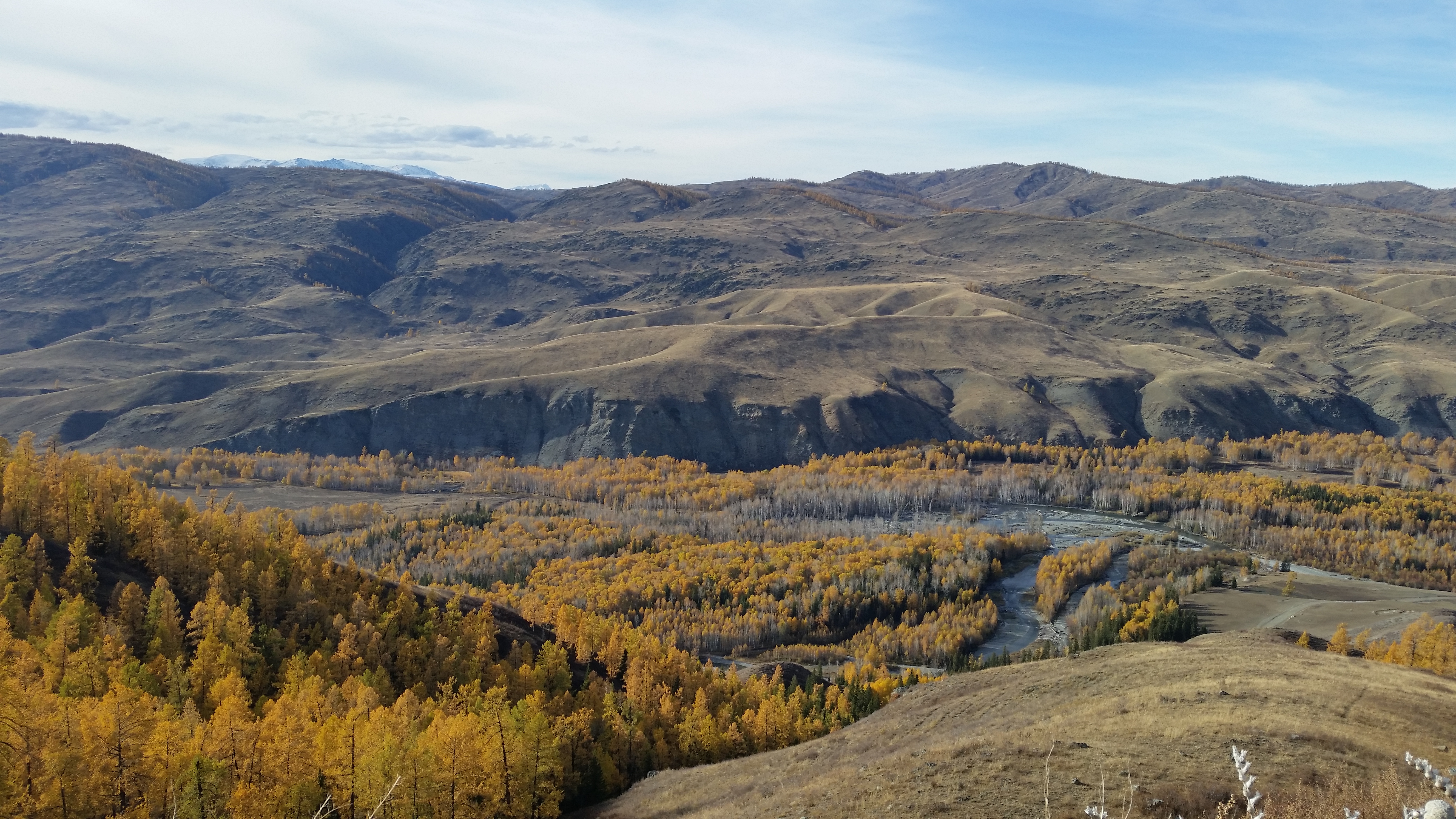 2019白哈巴_旅游攻略_门票_地址_游记点评,喀纳斯旅游景点推荐 - 去