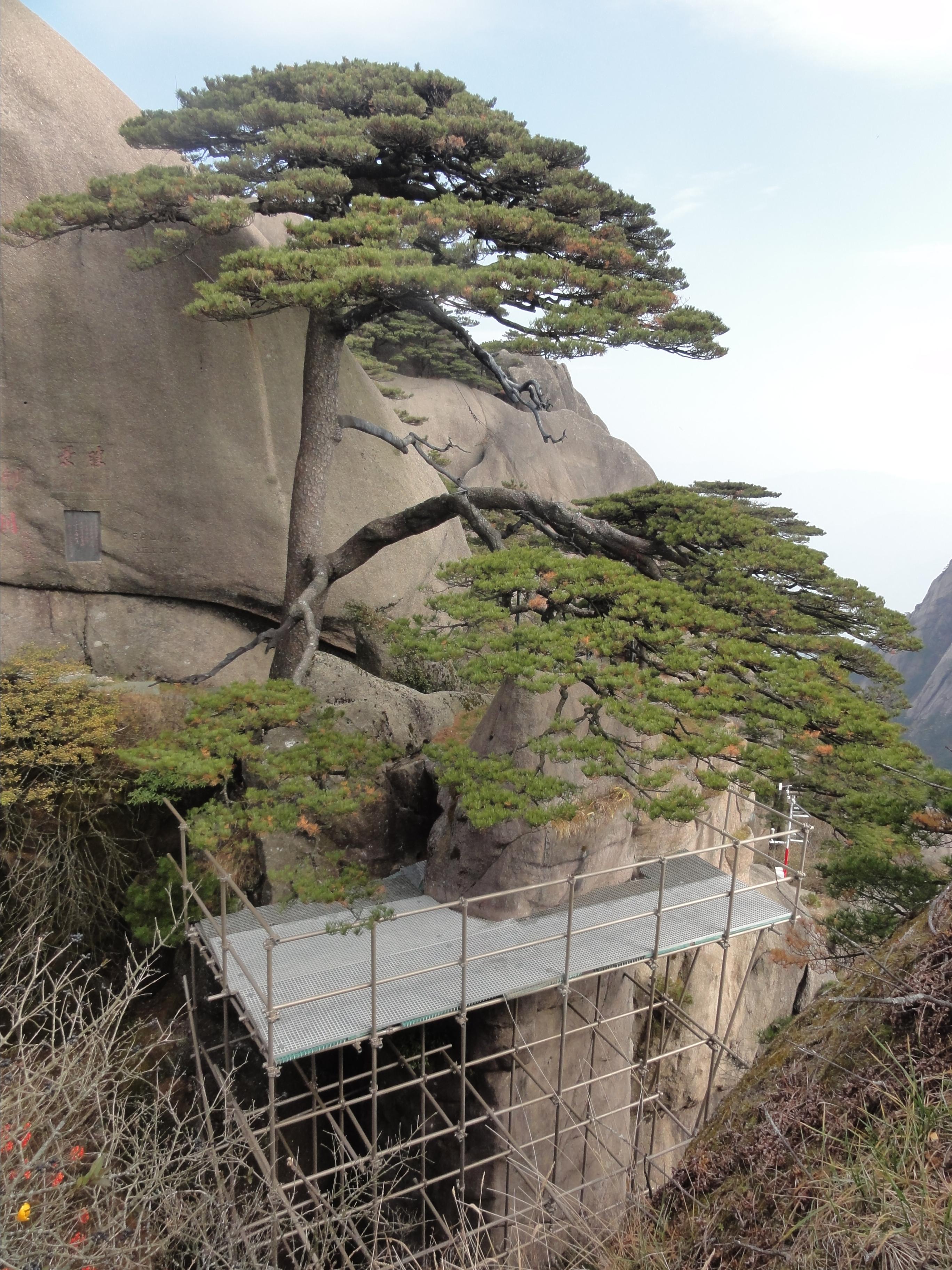 黃山二日 遊