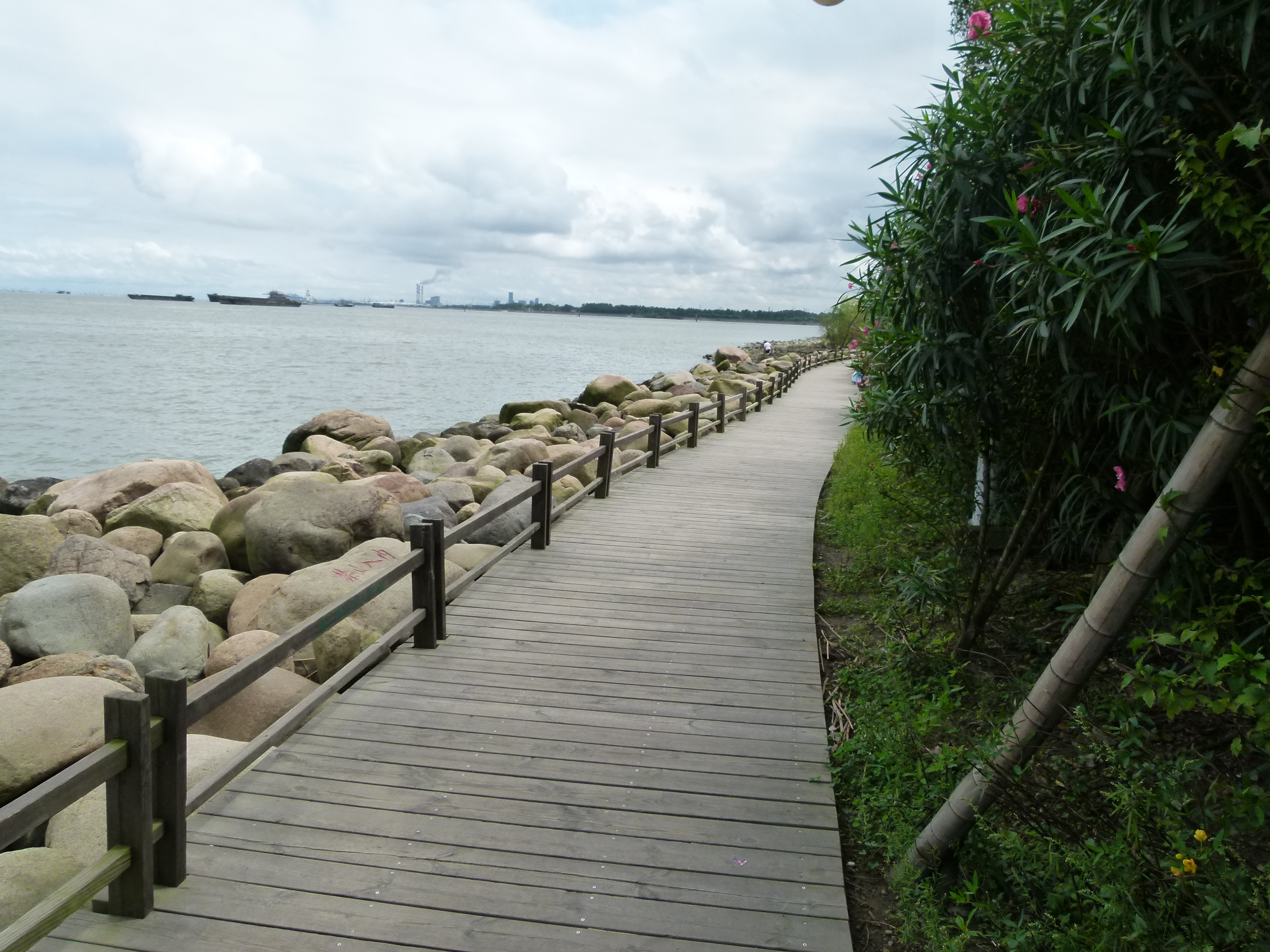 初秋的悠閒-上海吳淞炮臺灣溼地森林公園