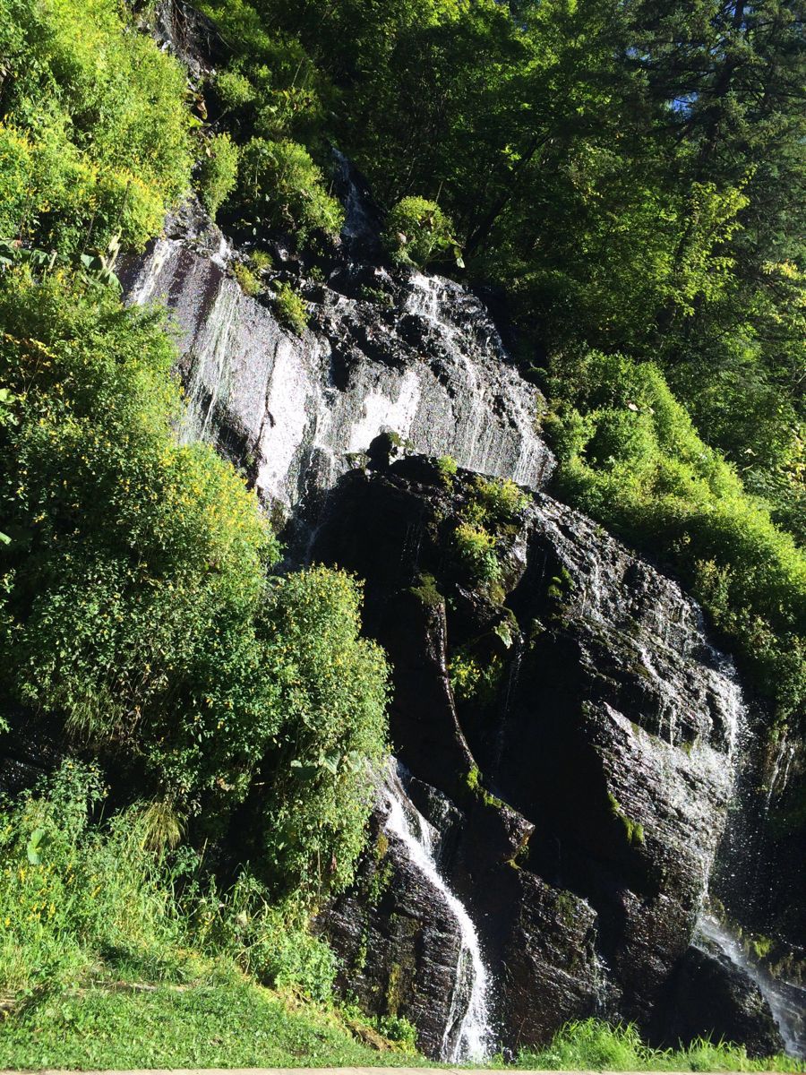 2019望天鹅风景区_旅游攻略_门票_地址_游记点评,长白山池南旅游景点