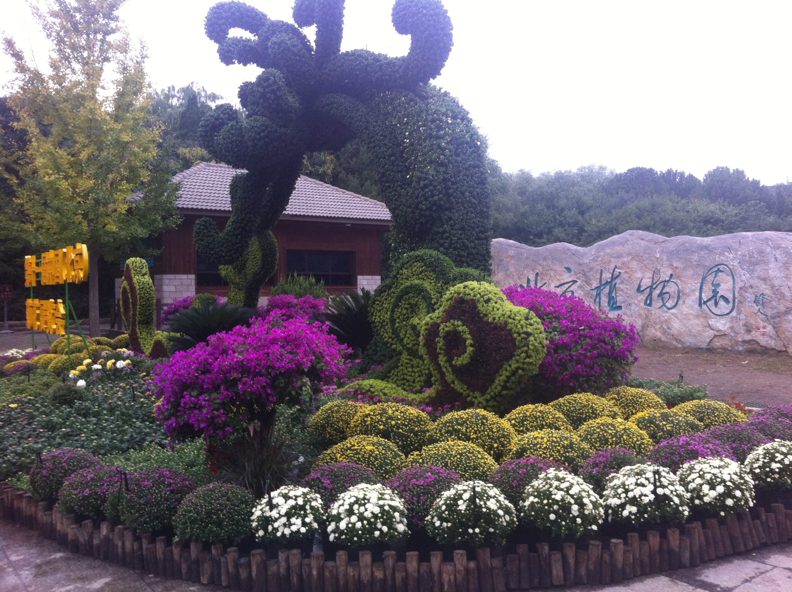 北京植物园