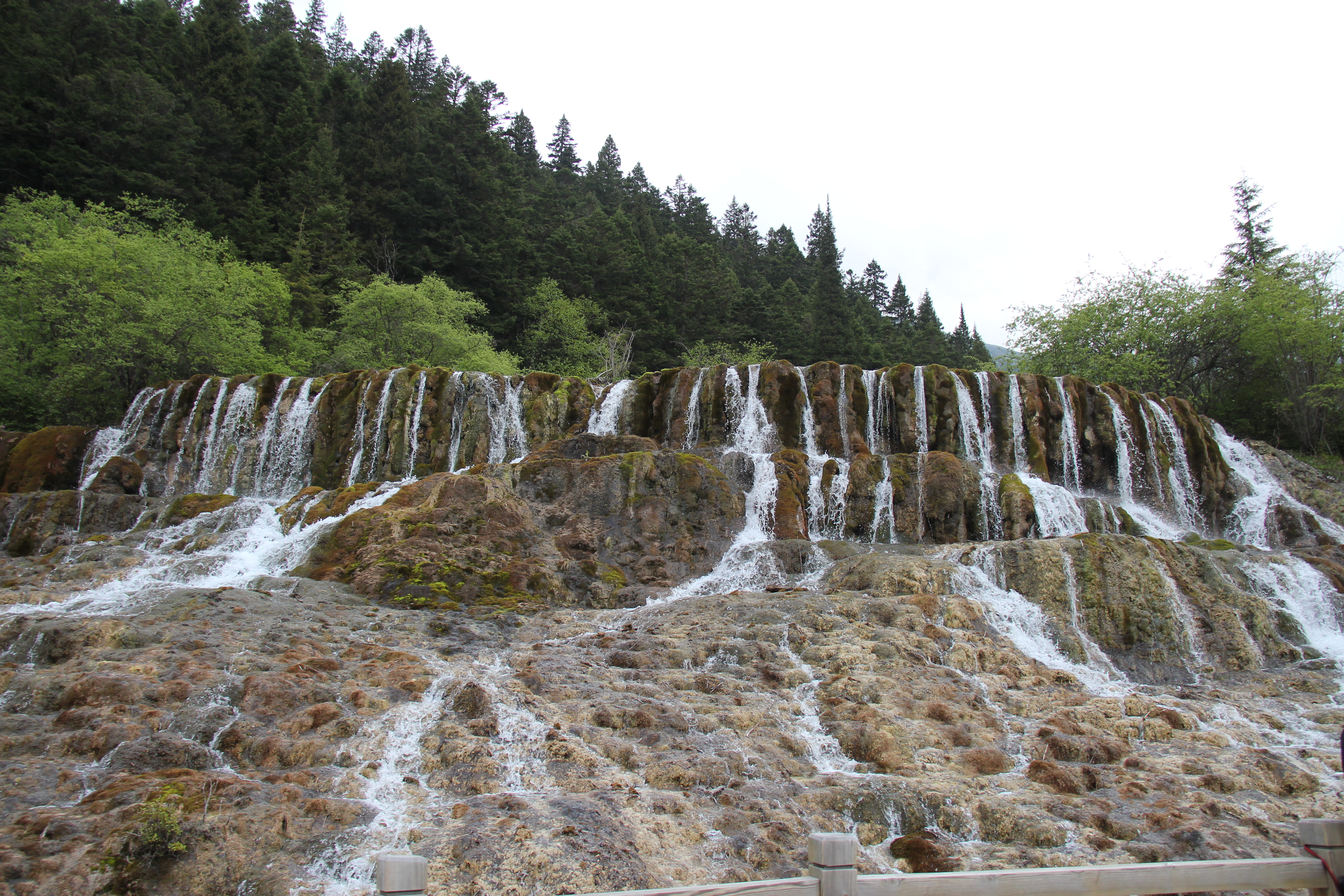 关于自驾游去九寨沟旅游要多少钱的信息