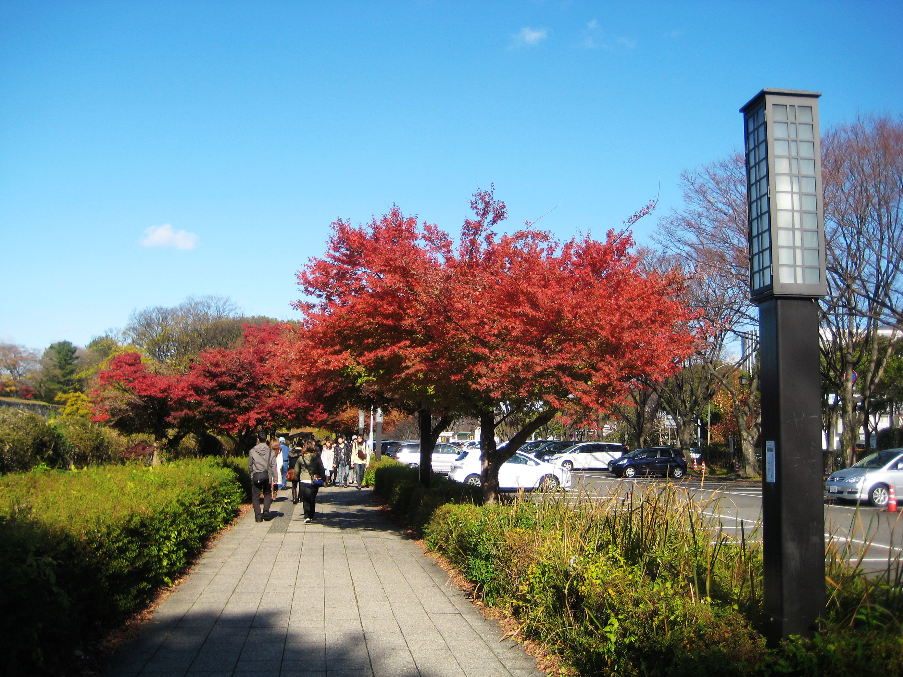 名古屋城