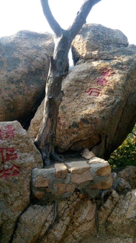 千山,鞍山千山攻略/地址/图片/门票【携程攻略】