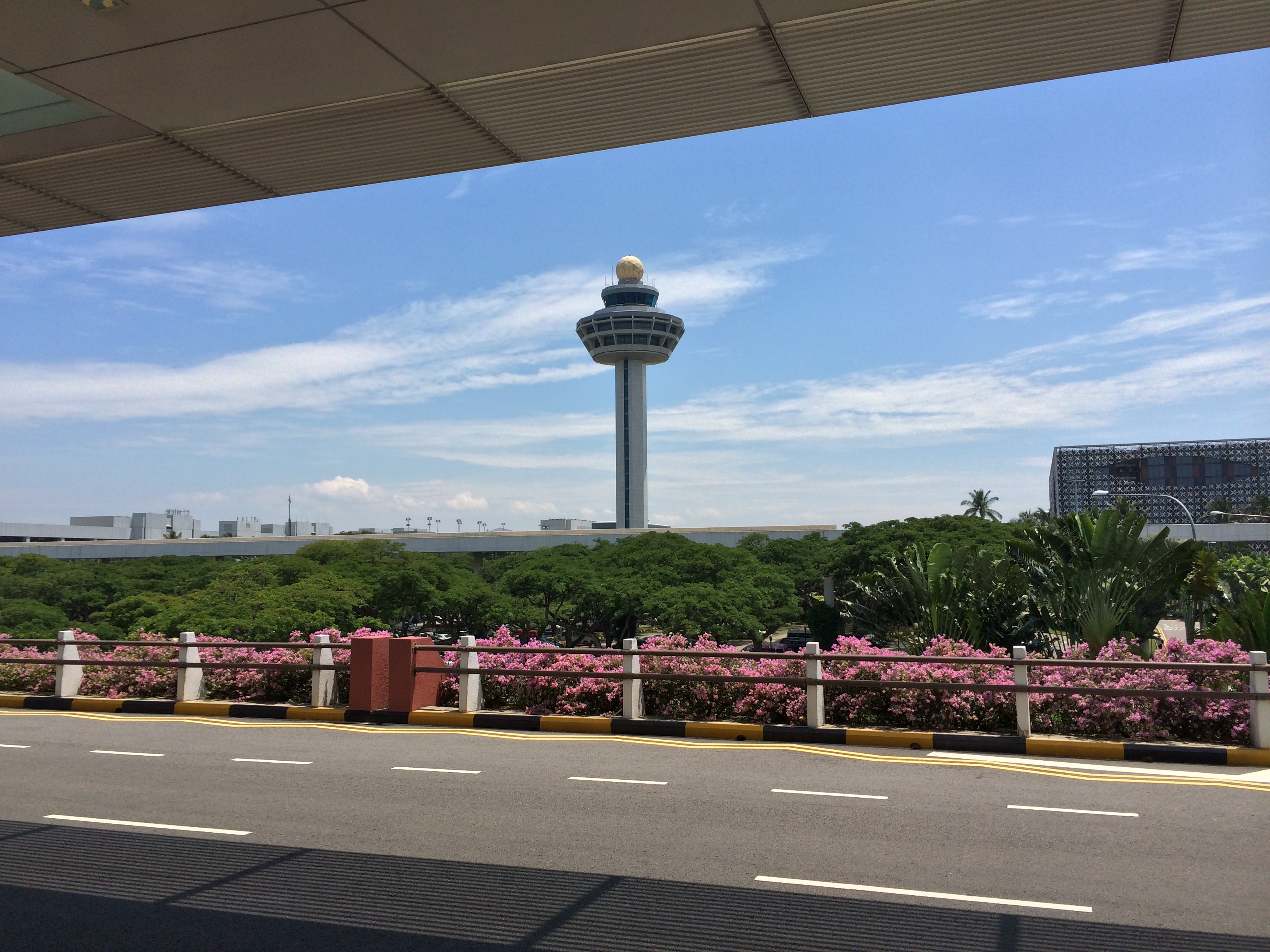 新加坡机场真实图片
