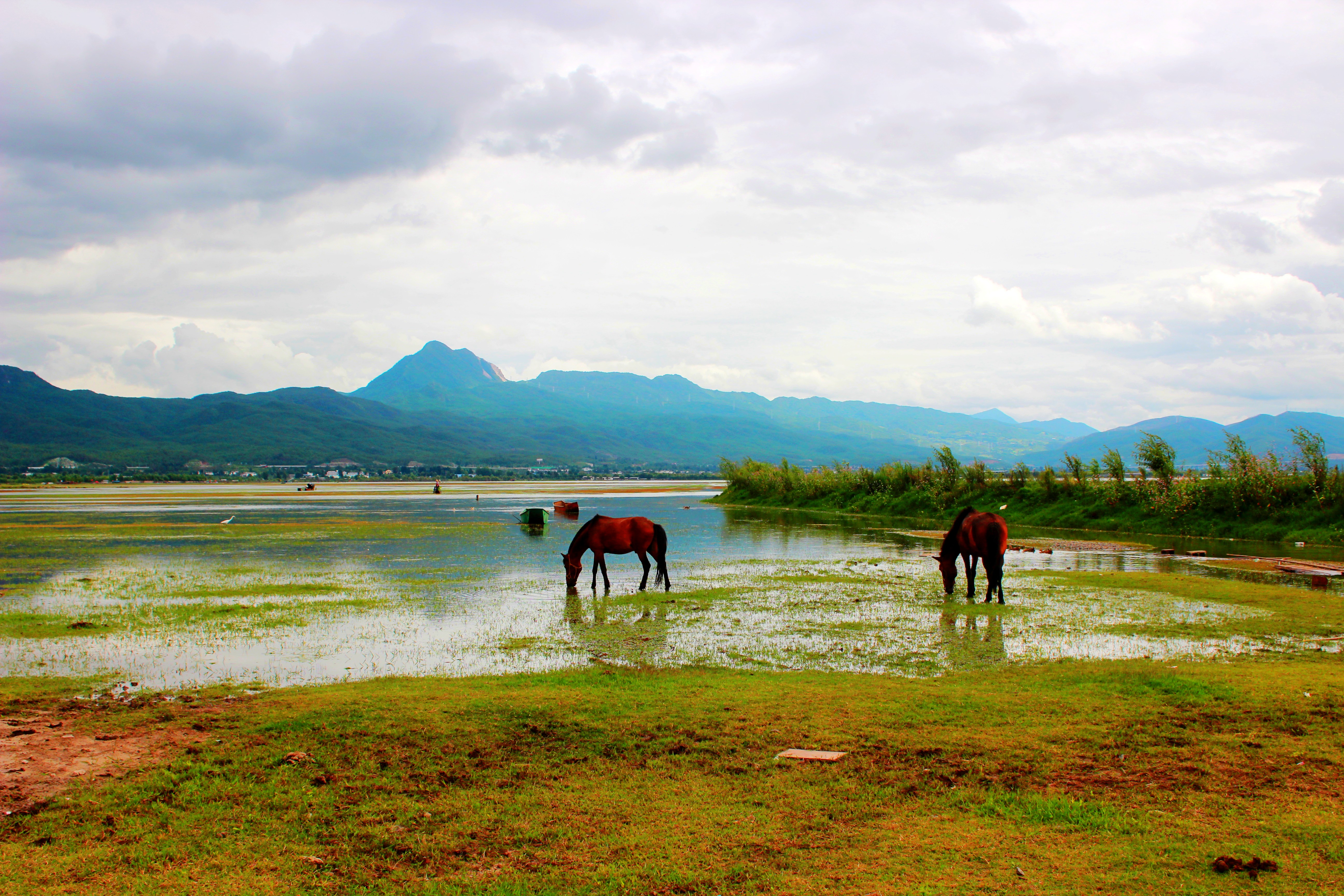 【携程攻略】丽江拉市海适合朋友出游旅游吗,拉市海朋友出游景点推荐
