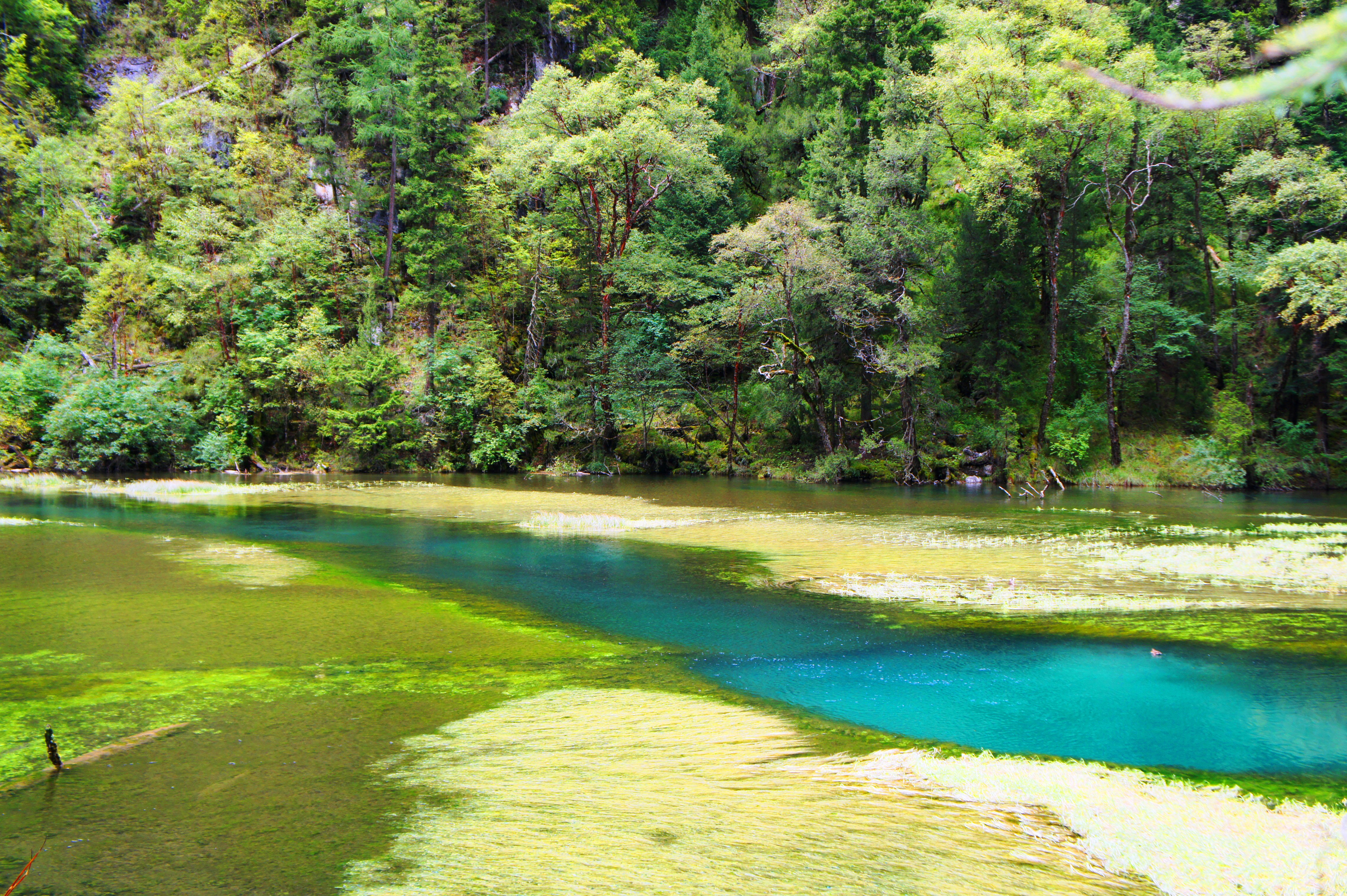 九寨沟剑岩悬泉攻略,九寨沟剑岩悬泉门票/游玩攻略/地址/图片/门票