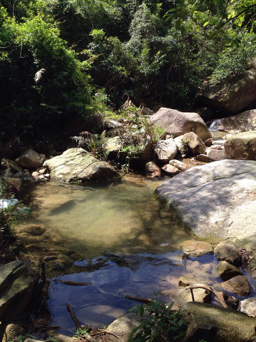 圭峰山國家森林公園