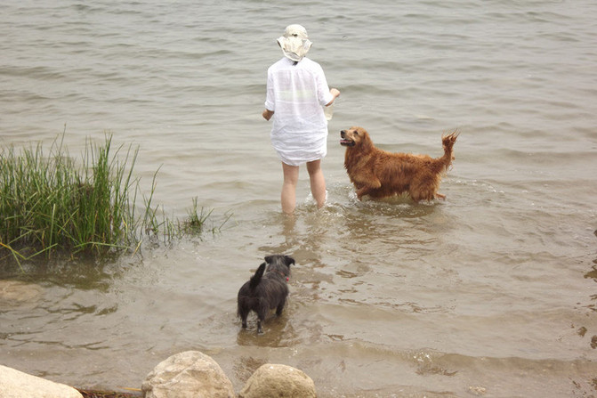 0339aa0fea2b49a2884debf11b33ddf2_R_671_10000_Q90.jpg?proc=autoorient