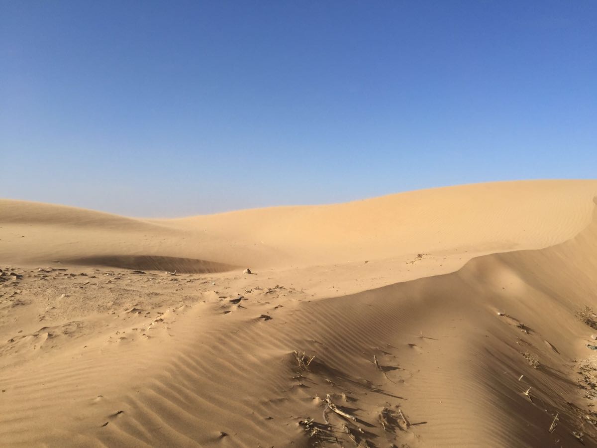 2019天漠公园