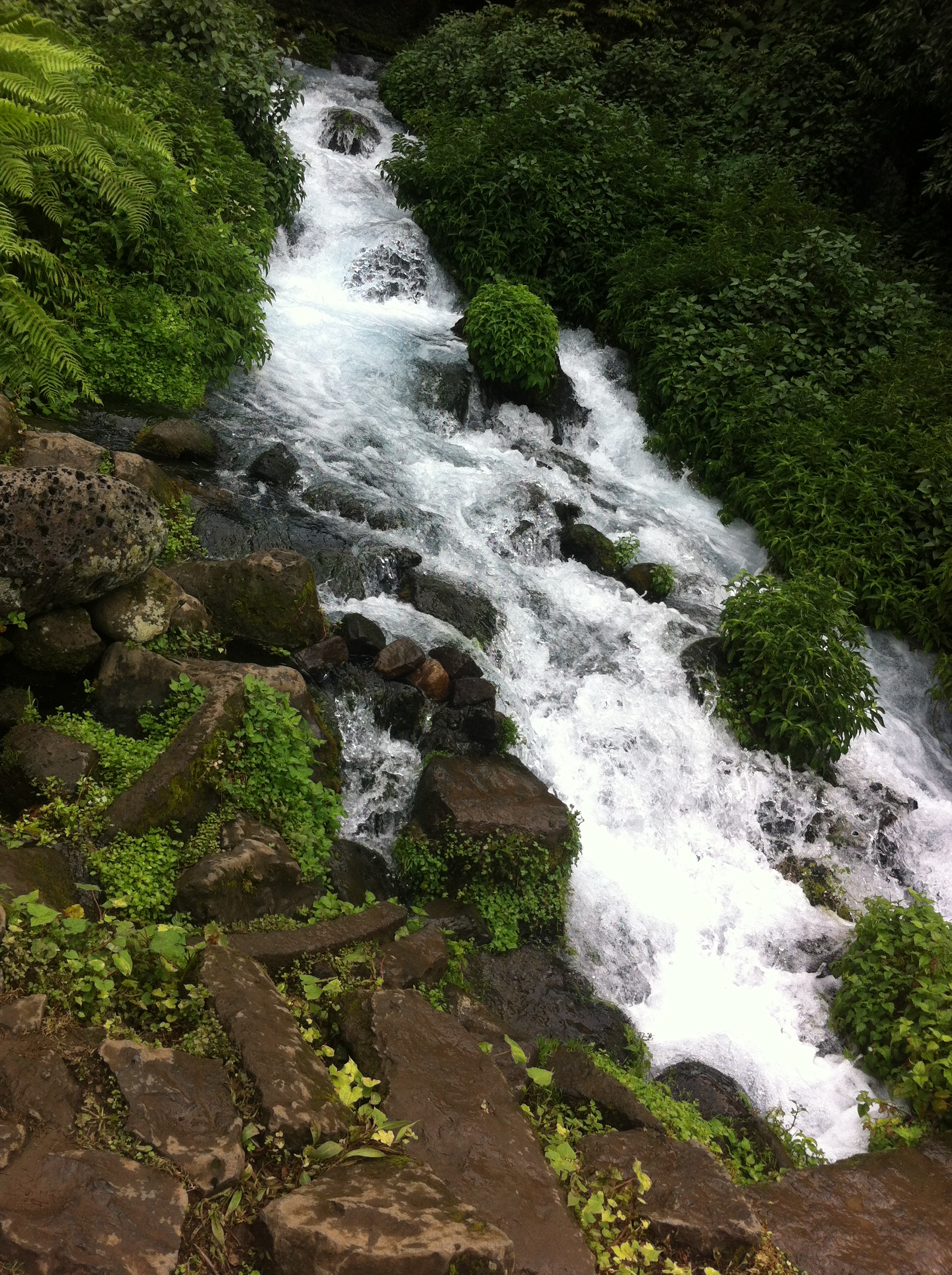 騰衝火山地質公園—柱狀節理—黑魚河相關圖片