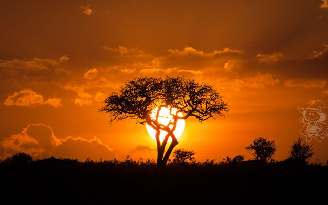 【肯尼亚】马塞马拉东非五霸，柏哥利亚湖火烈鸟粉红天堂，东非7天Safari精华美图&拍照小技巧