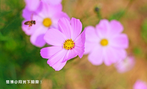 00e1a6f795ef49bf88ab07dd7af3e492_R_1024_10000_Q90.jpg?proc=autoorient