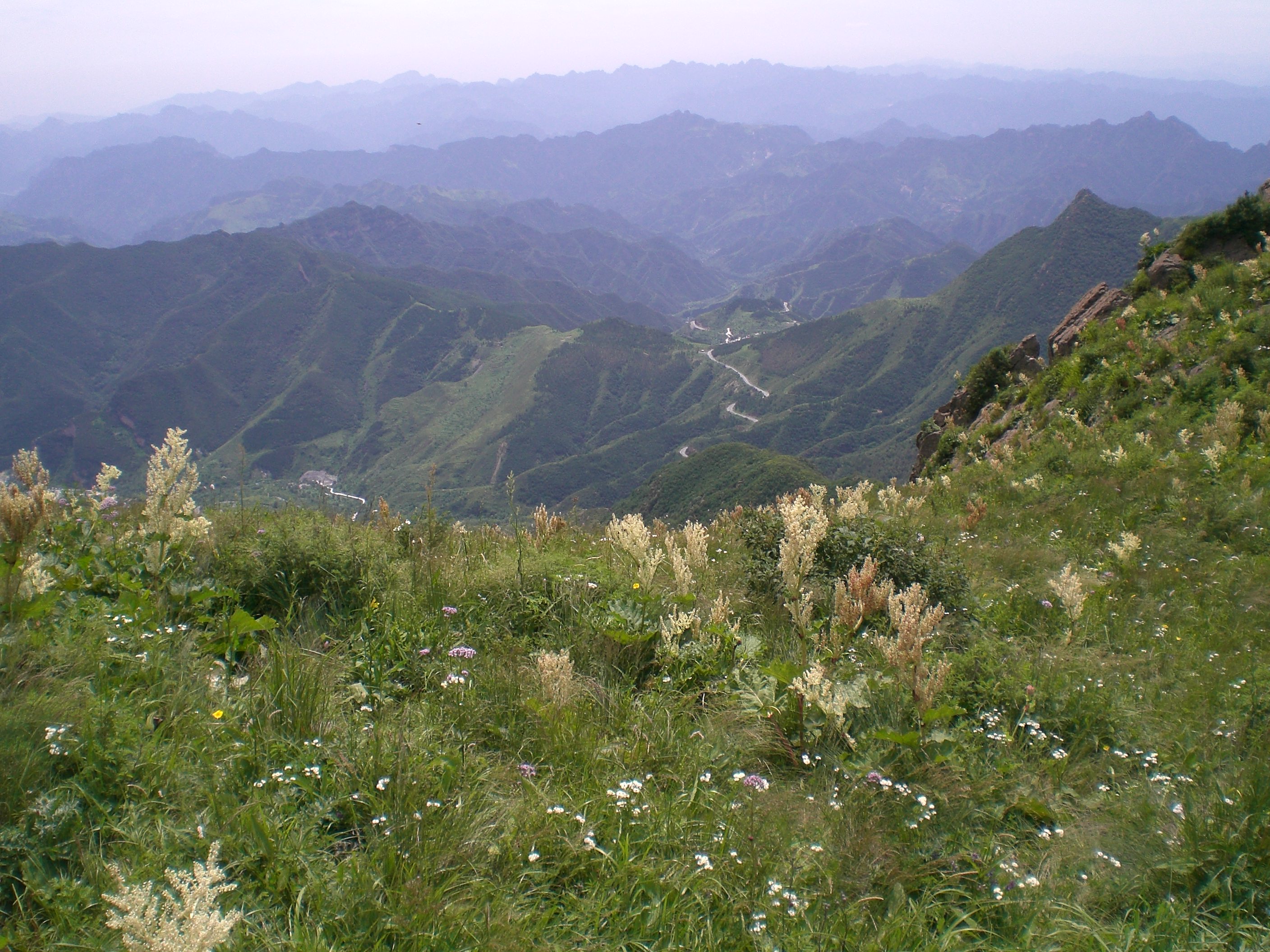 百花山自然保护区