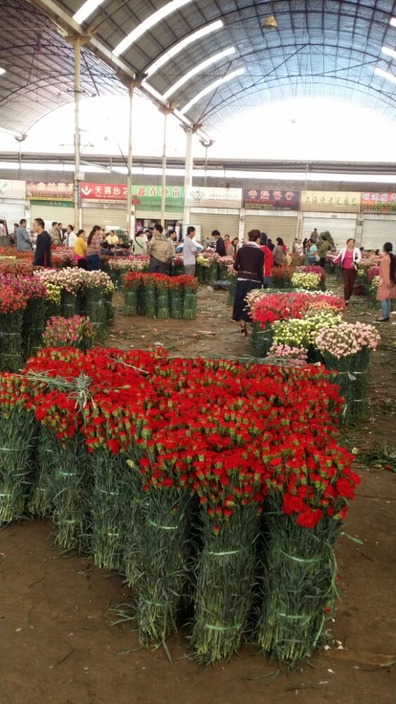 中国昆明斗南花卉市场