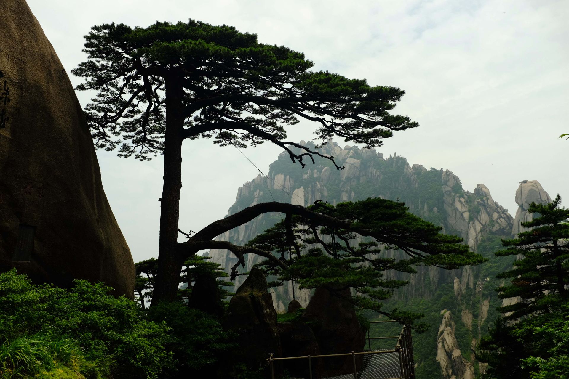 初夏6月黄山风景区3日游,出行准备 注意事项 风景图片大放送 - 安徽