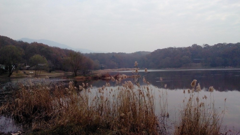 南京琵琶湖公園好玩嗎,南京琵琶湖公園景點怎麼樣_點評_評價【攜程