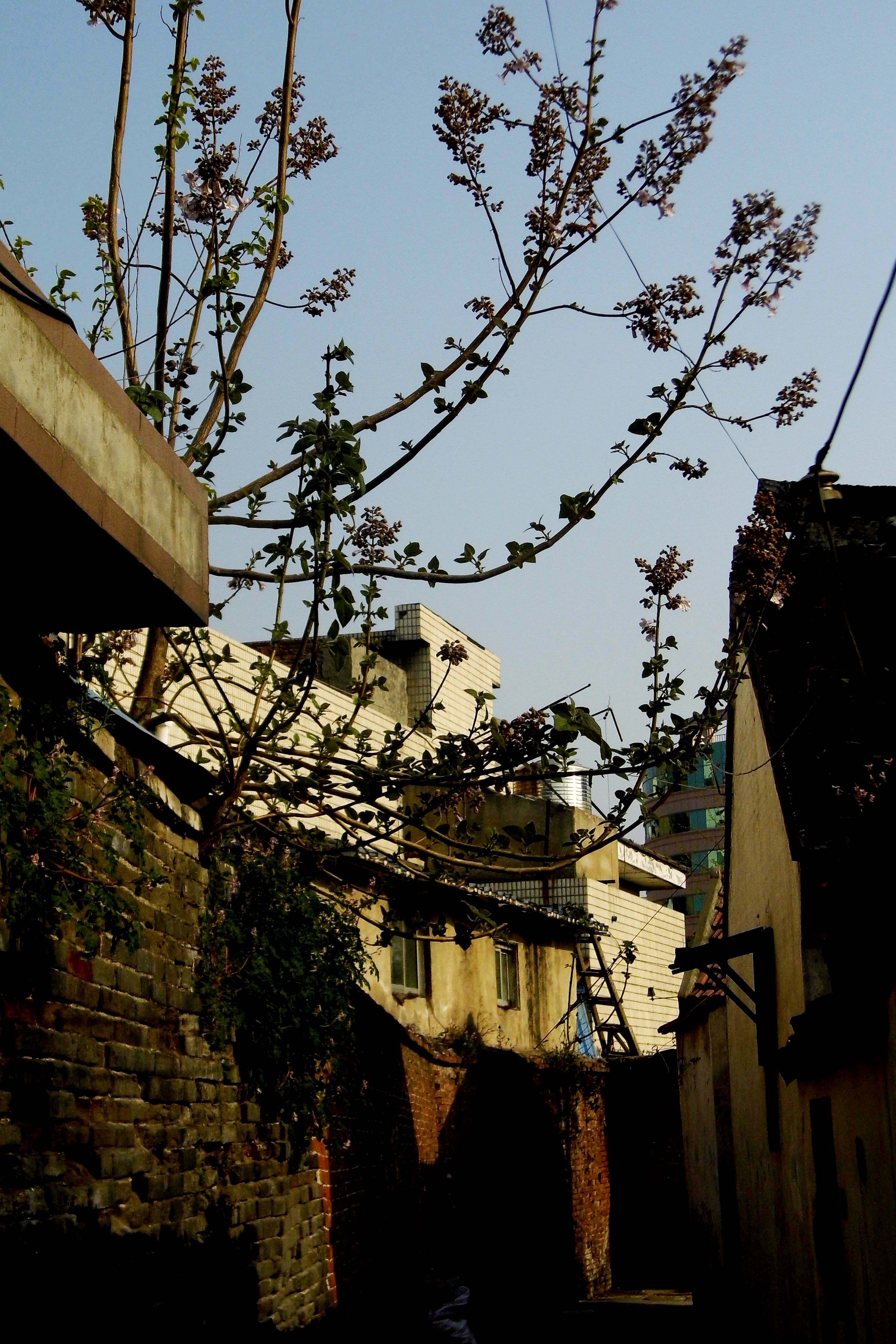 【江苏 南通】寺街,还在