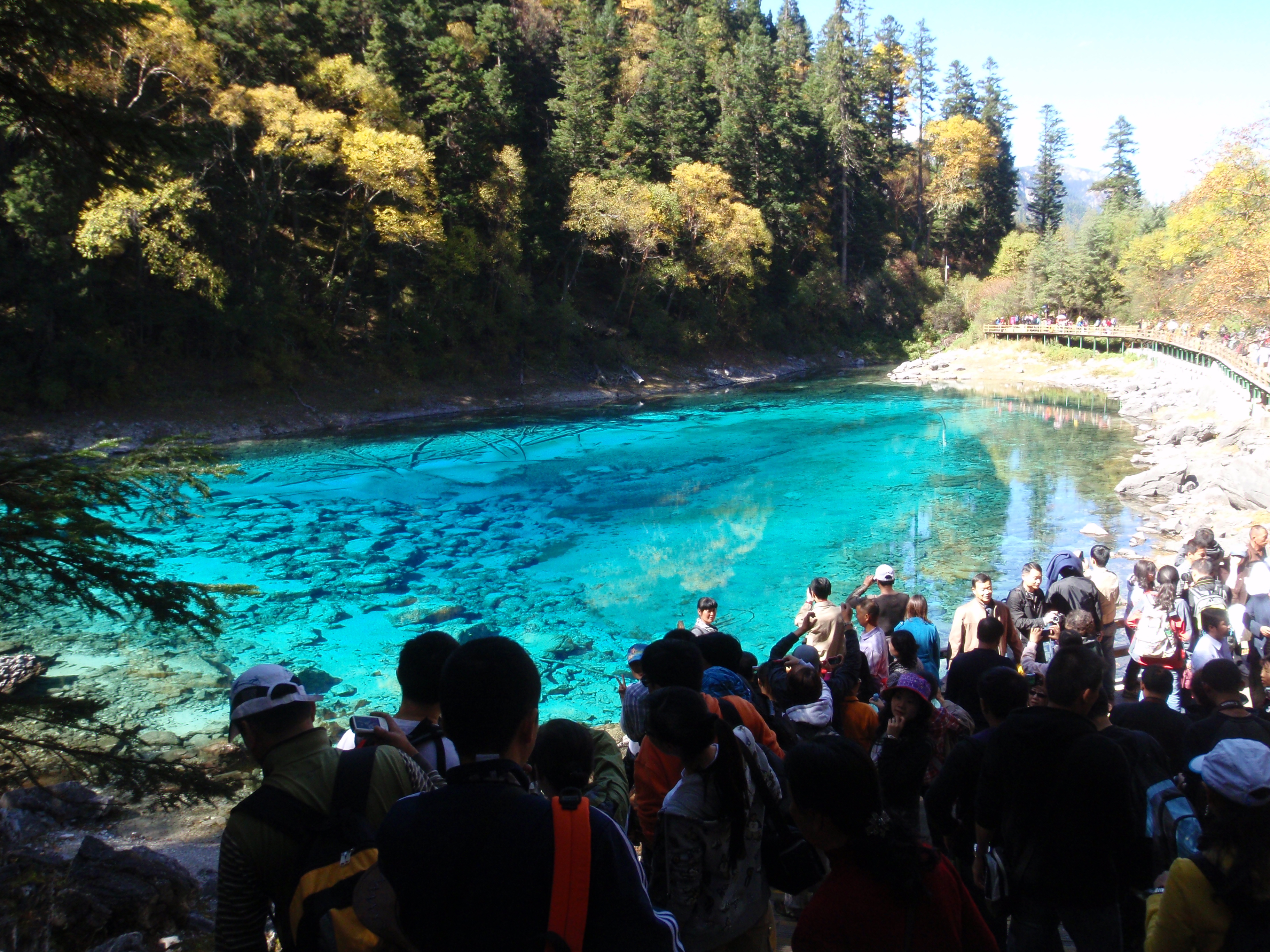 【i旅行】兔兔楚的九寨溝 黃龍仙境之旅(10.1懷孕期間)