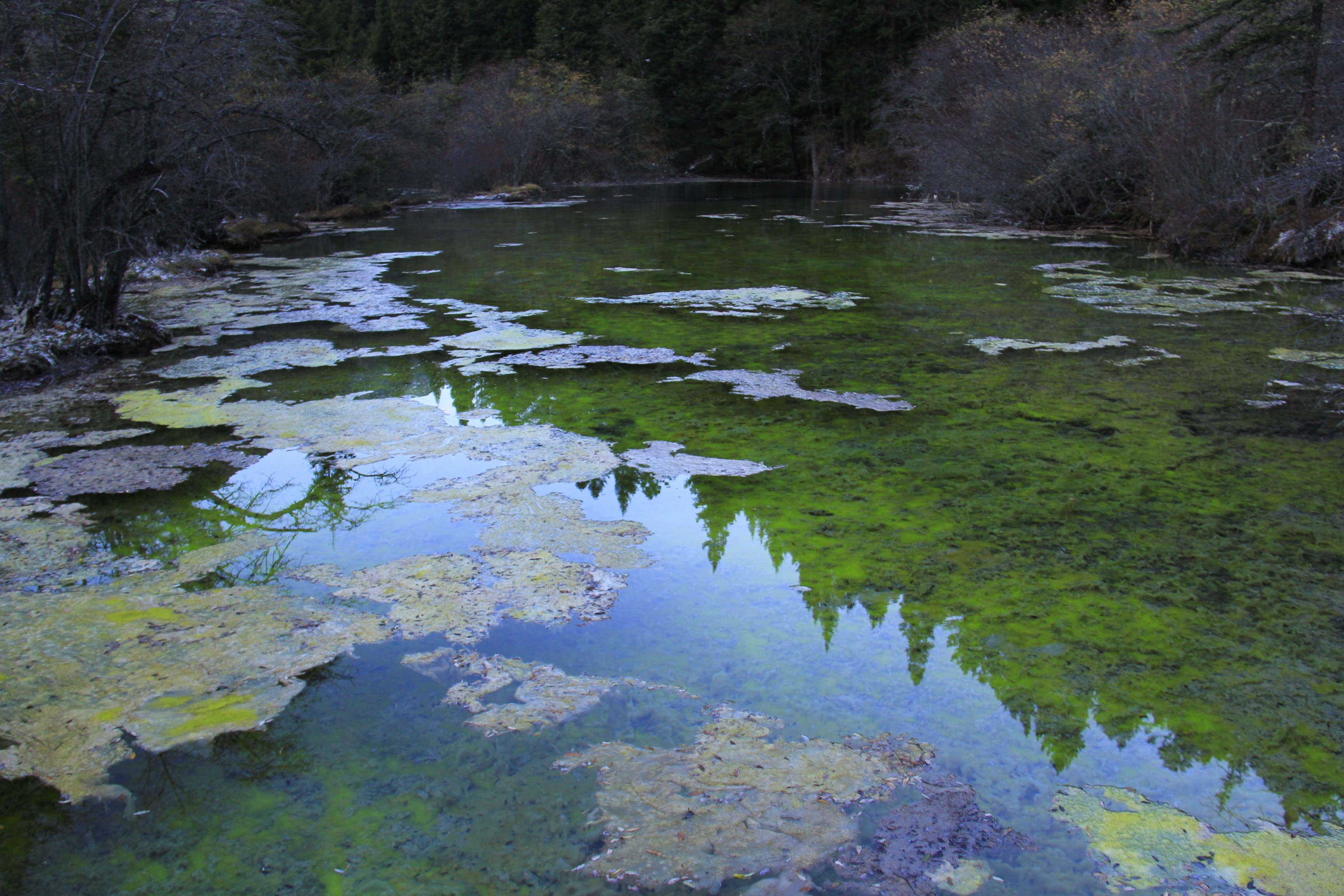 风景名胜区黄龙五彩池好玩吗,四川黄龙五彩池景点怎黱样_点评_评价
