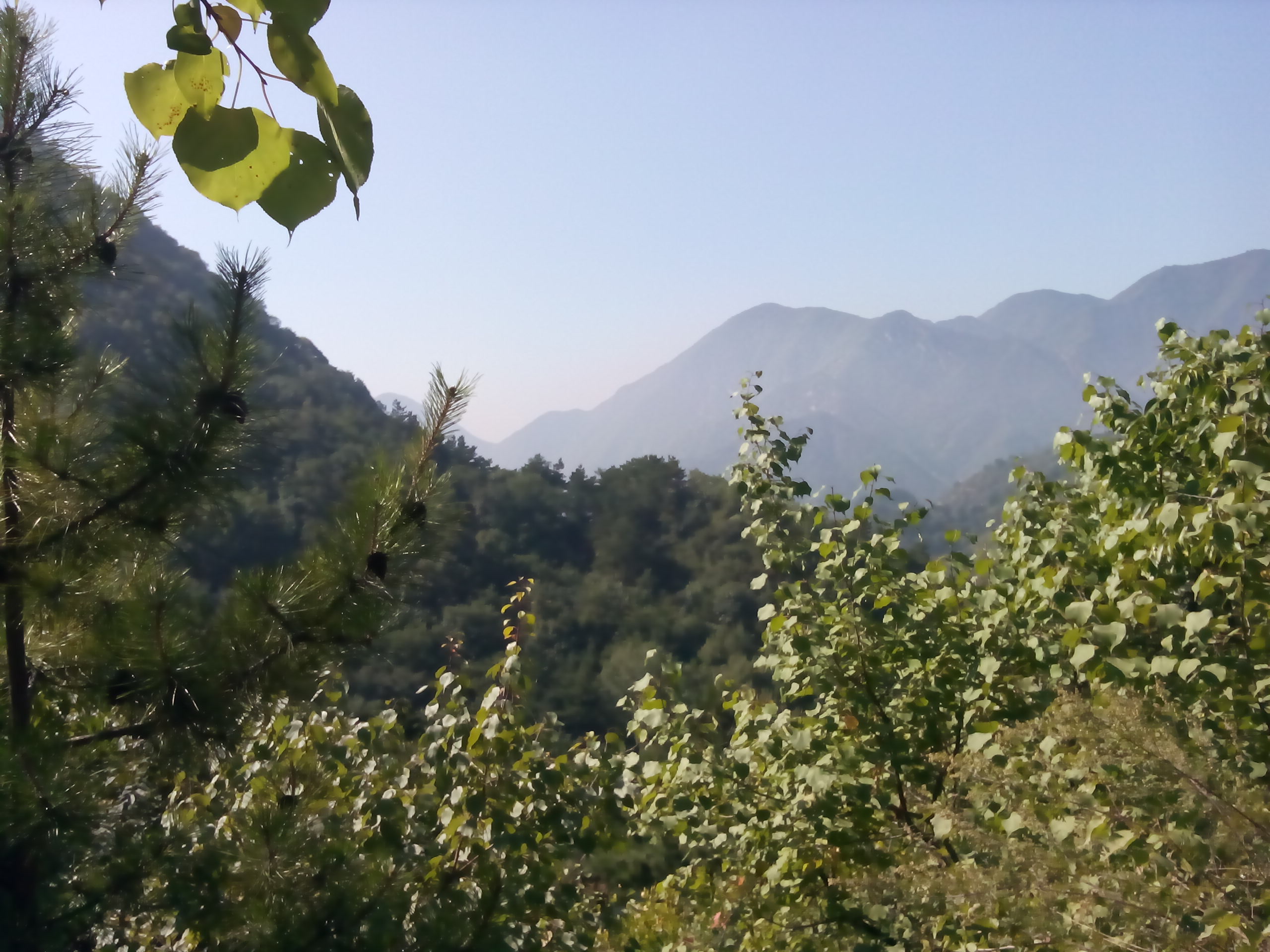 山中人兮芳杜若,飲石泉兮蔭松柏——北京松山之行