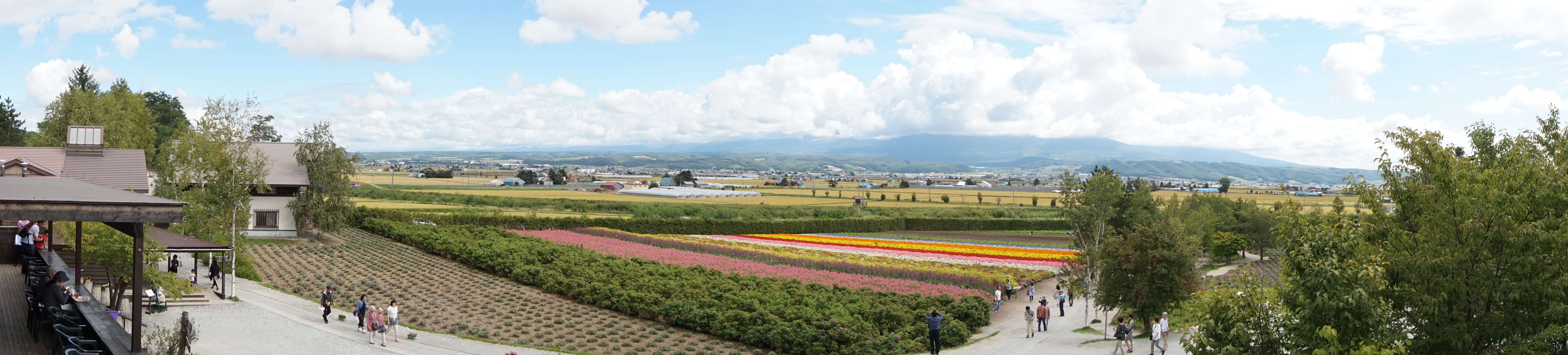 富田农场