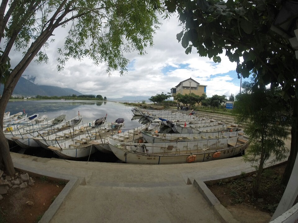 大理洱海鱼鹰驯化基地