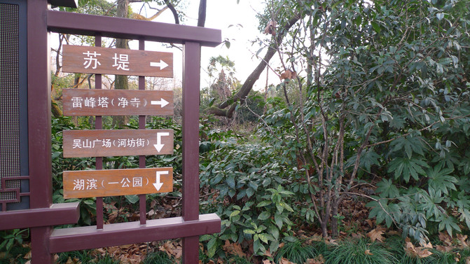 杭州半日游:雷峰塔、长桥公园、净慈寺和花港