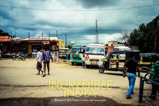 神奇的印度老鼠庙VS黄金之城