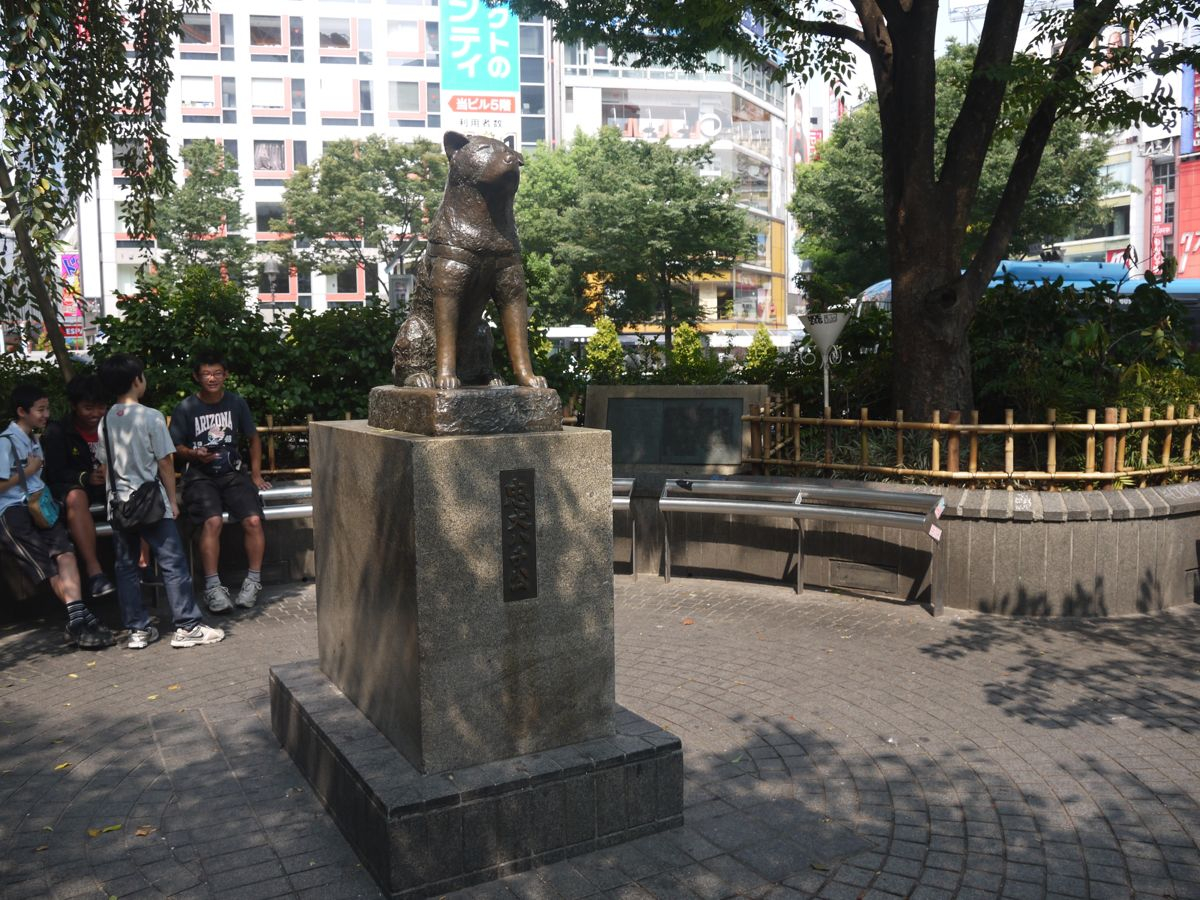 夏游日本关东2013 狂走首都圈 - 箱根游记攻略【携程攻略】