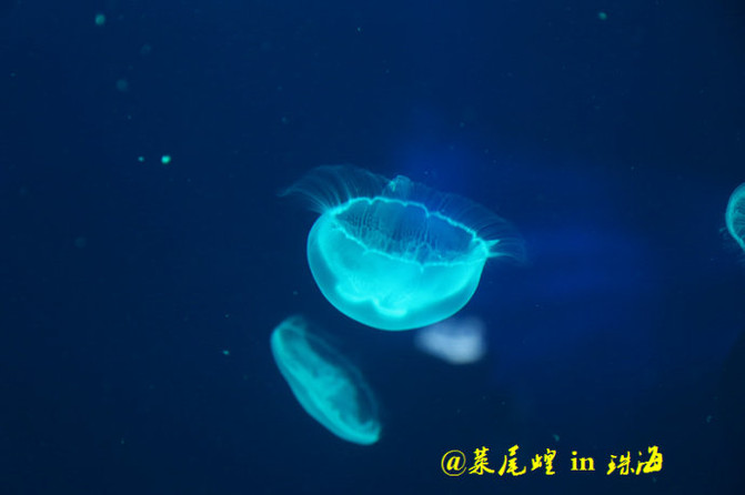 f0b5428e17cd4aa0bc1da935c0e22695_R_671_10000_Q90.jpg?proc=autoorient