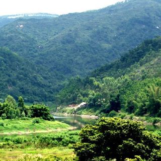 潮州鳳凰山烏崬頂攻略,鳳凰山烏崬頂undefined門票/遊玩攻略/地址