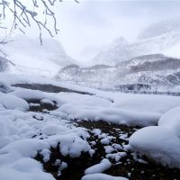 长白山北坡图片