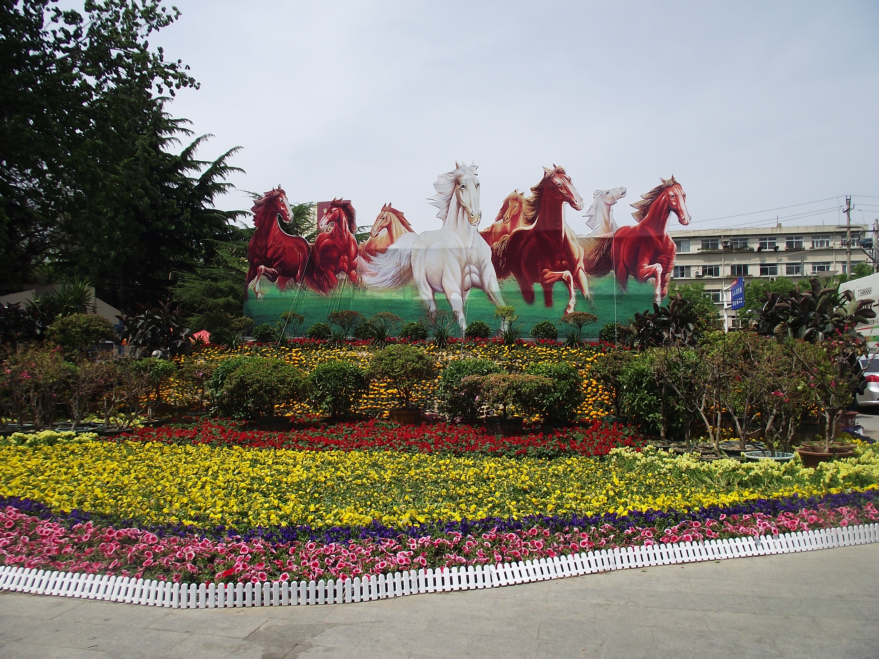 隨手拍!煙臺南山公園.