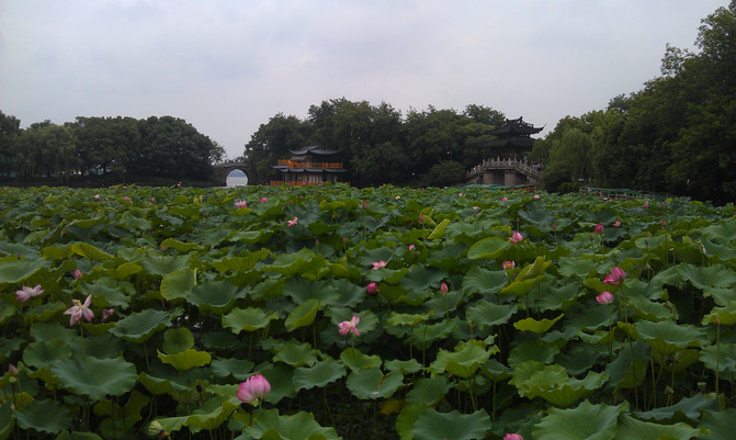 杭州西湖十景是哪十景？杭州西湖十景介紹[圖片]杭州西湖一日游經(jīng)典路線(圖10)